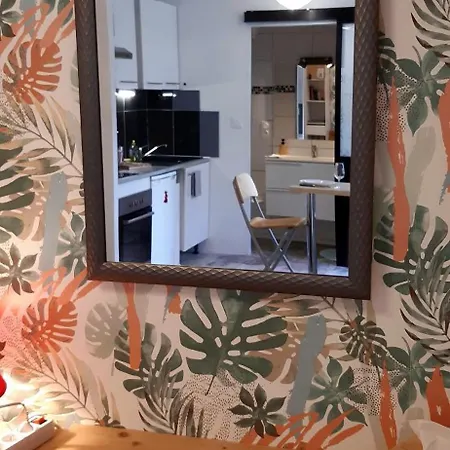 Cosy Deco Tropicale - 10 Min Gare & Centre A Pied *
